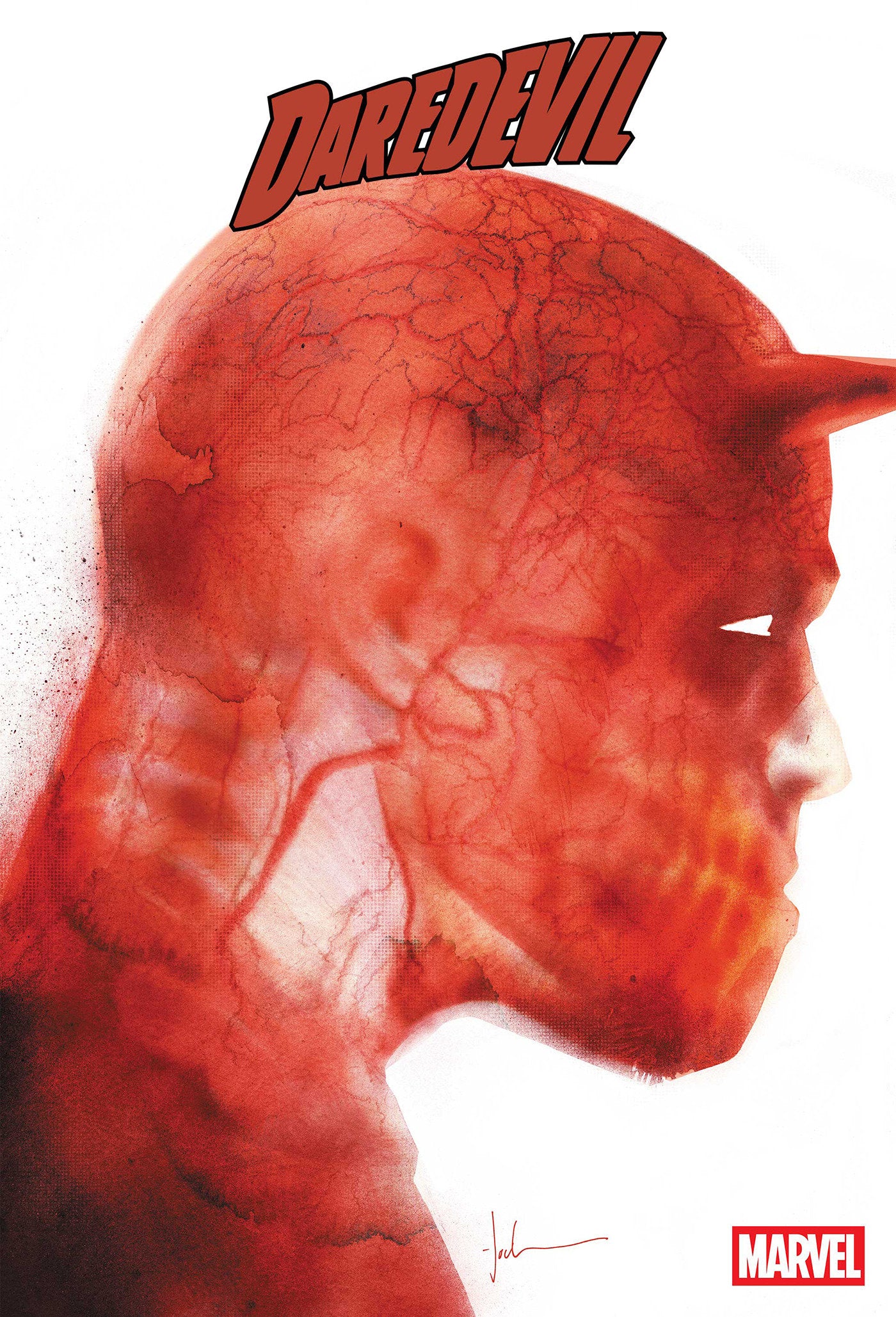 DAREDEVIL #6 JOCK CVR B
