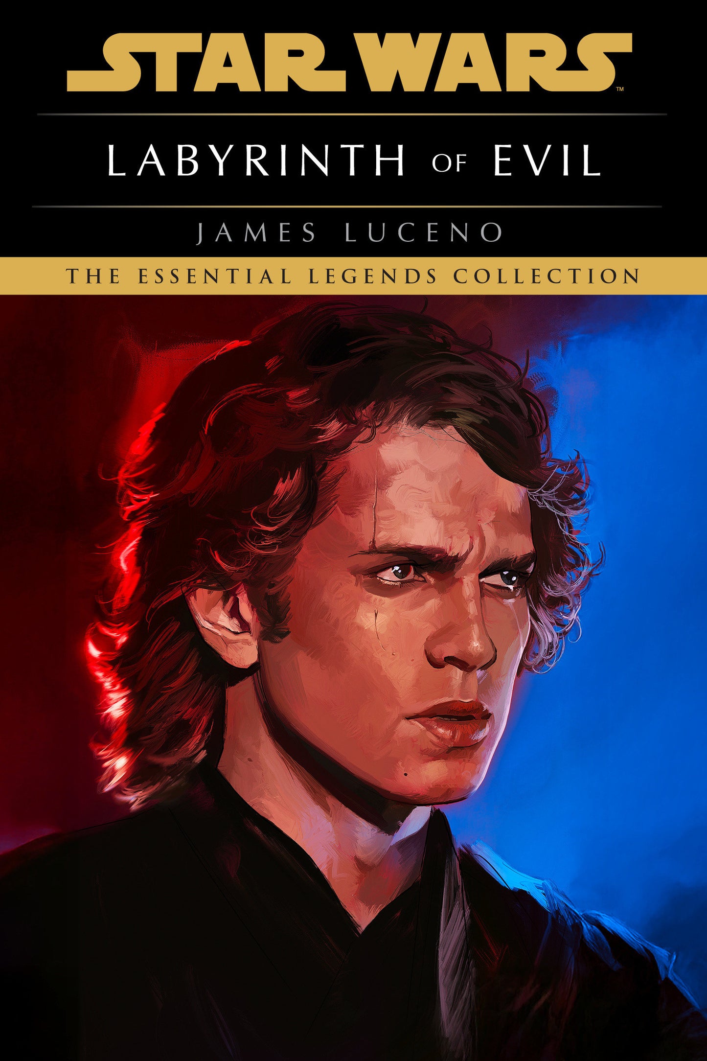 LABYRINTH OF EVIL STAR WARS LEGENDS TP