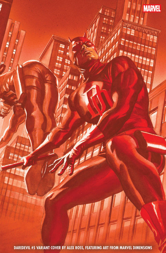 DAREDEVIL #5 ALEX ROSS MARVEL DIMENSIONS CVR B
