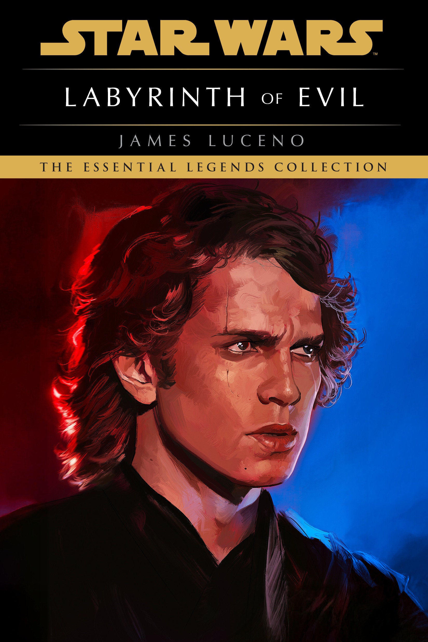 LABYRINTH OF EVIL STAR WARS LEGENDS TP