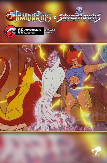 THUNDERCATS X SILVERHAWKS #5 CVR E ANIMATION ART
